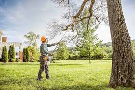 Best Hedge Trimming  in Downers Grove, IL